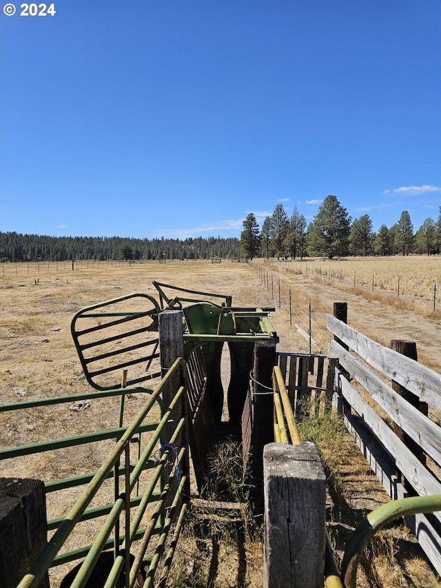 view of yard featuring a rural view