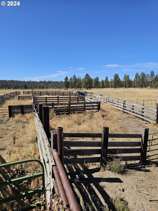 view of yard with a rural view