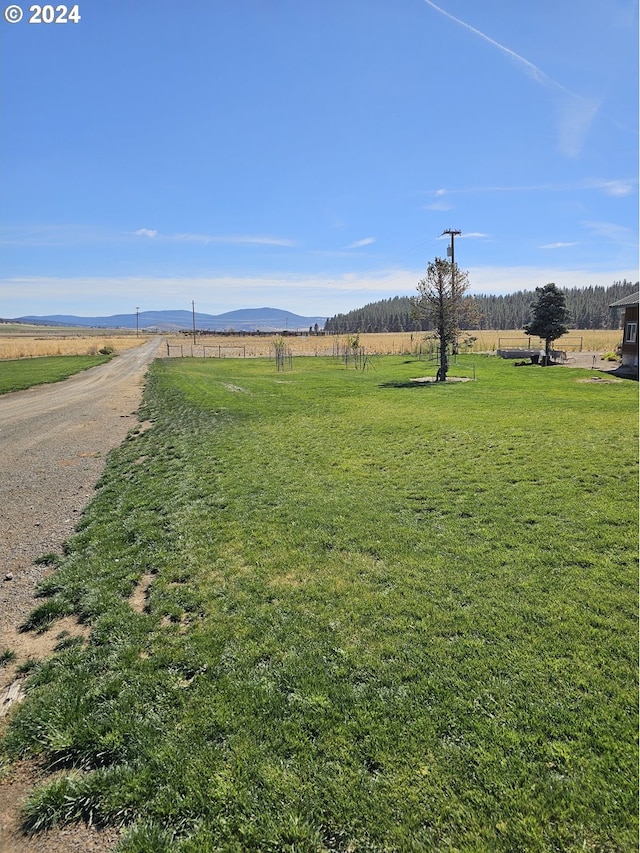 view of yard featuring a mountain view and a rural view