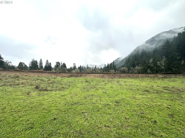 view of yard featuring a mountain view and a rural view