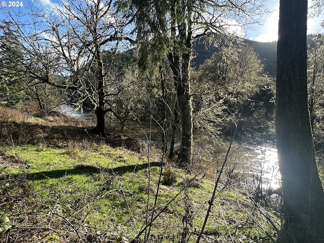 view of nature with a water view