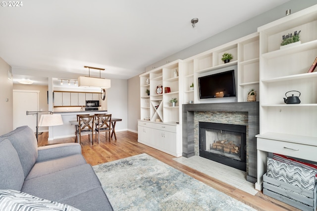 living room featuring light hardwood / wood-style floors