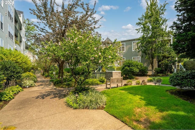 surrounding community featuring a lawn