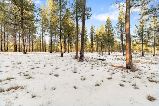 view of snowy landscape