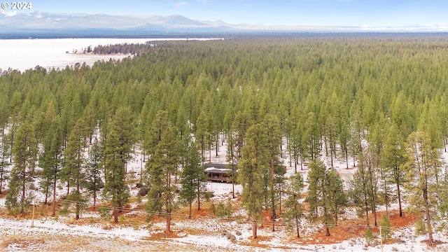 snowy aerial view featuring a mountain view