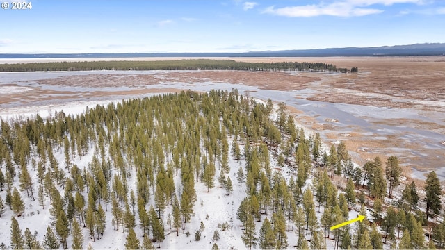 snowy aerial view featuring a water view