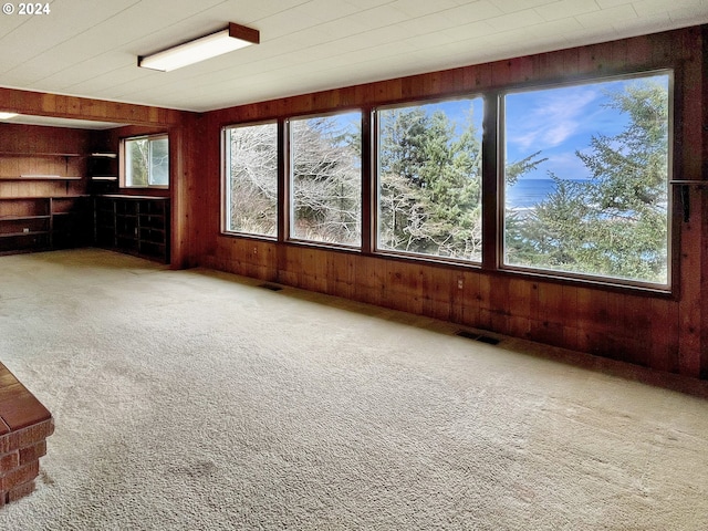 interior space with carpet flooring, a healthy amount of sunlight, and wooden walls