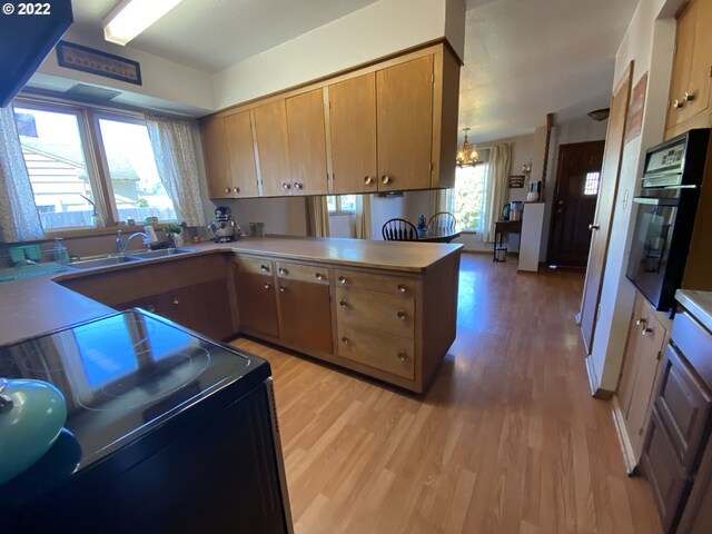 kitchen featuring sink, stainless steel appliances, and light hardwood / wood-style flooring