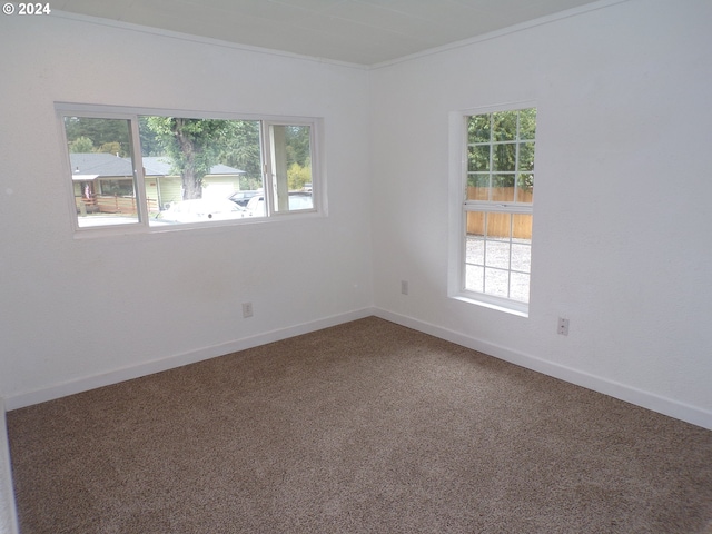 carpeted spare room with a wealth of natural light and ornamental molding