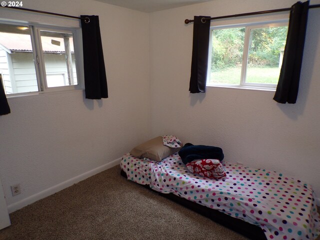 bedroom with carpet