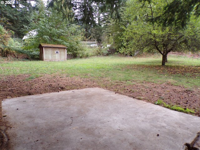 view of yard featuring a storage shed and a patio