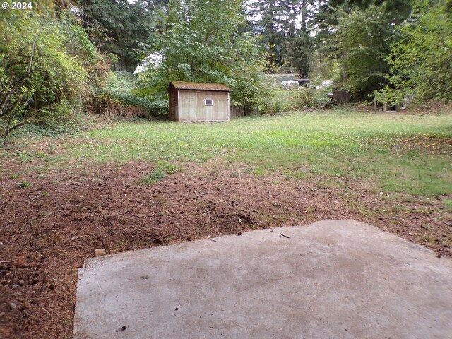 view of yard featuring a patio area and a shed