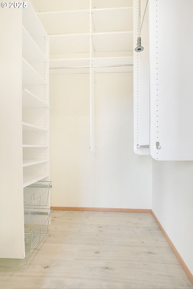 spacious closet featuring light wood-type flooring