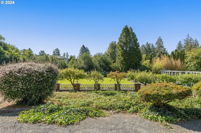 view of community with a pool and a lawn