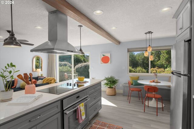 kitchen with gray cabinetry, island exhaust hood, light hardwood / wood-style flooring, decorative light fixtures, and stainless steel appliances