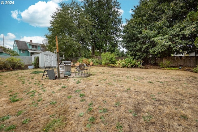 view of yard with a storage unit