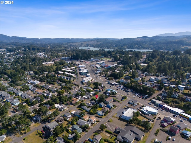 bird's eye view with a mountain view