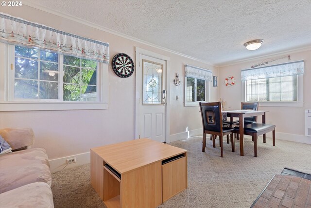 living room with carpet flooring, crown molding, and a textured ceiling