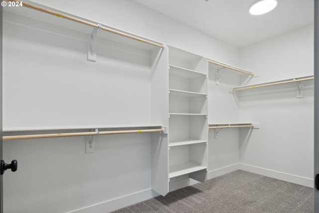 spacious closet with carpet floors