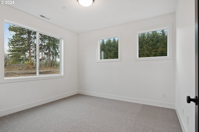 empty room featuring carpet flooring