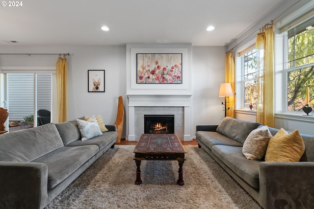 living room featuring a fireplace and wood-type flooring