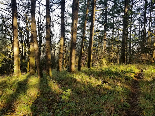 2655 NW Foothill Dr, Corvallis, OR 97330