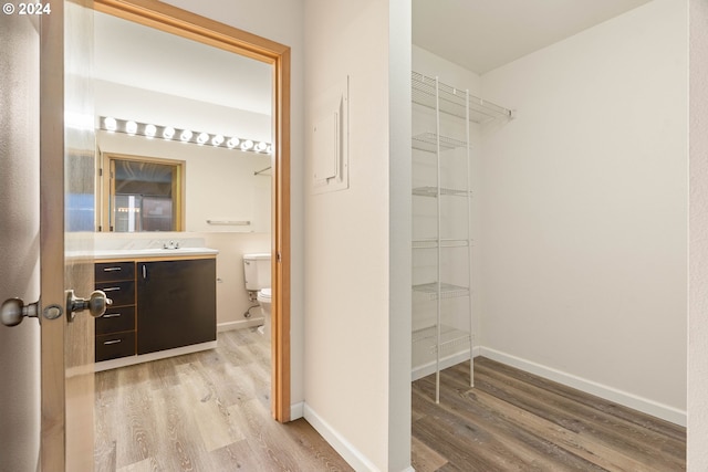 walk in closet featuring sink and light hardwood / wood-style flooring