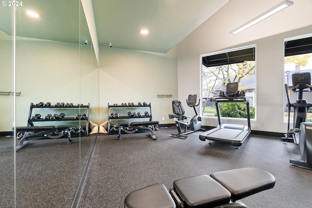 workout area featuring vaulted ceiling and a healthy amount of sunlight