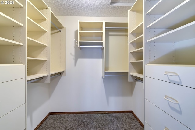 walk in closet featuring carpet floors