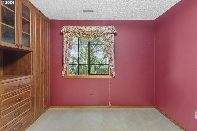 spare room featuring a textured ceiling and light colored carpet