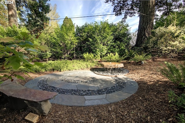 view of yard with a patio area