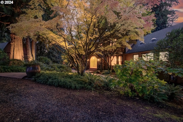 view of yard at dusk