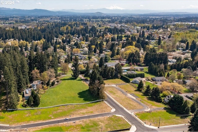 bird's eye view featuring a mountain view