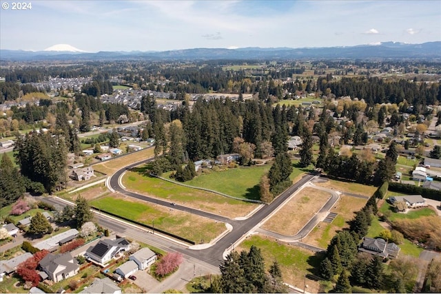 drone / aerial view featuring a mountain view