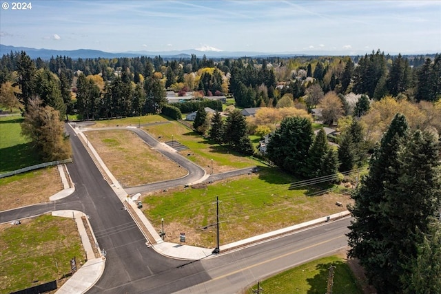 bird's eye view with a mountain view