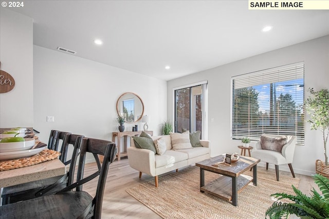 living room featuring light hardwood / wood-style flooring