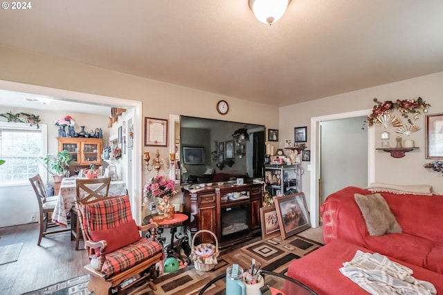 living room featuring hardwood / wood-style floors