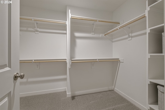 walk in closet with carpet flooring