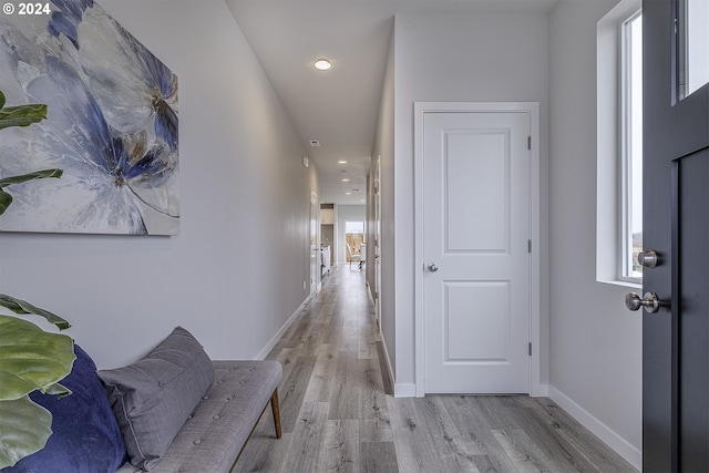 hall featuring plenty of natural light and light hardwood / wood-style floors