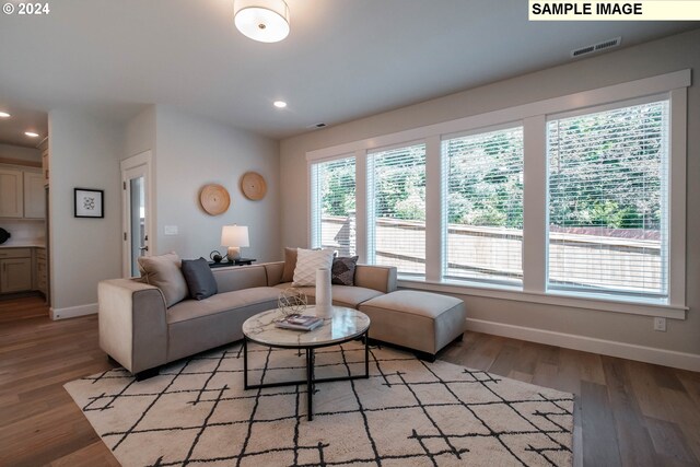 living room with hardwood / wood-style floors and sink