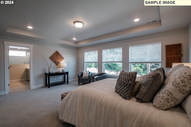 carpeted bedroom with ensuite bath and a tray ceiling