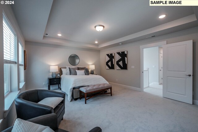 bedroom featuring a raised ceiling and light carpet