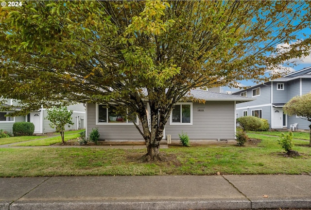 view of front of house with a front yard