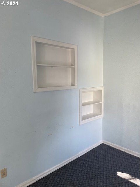 carpeted empty room with built in shelves and crown molding