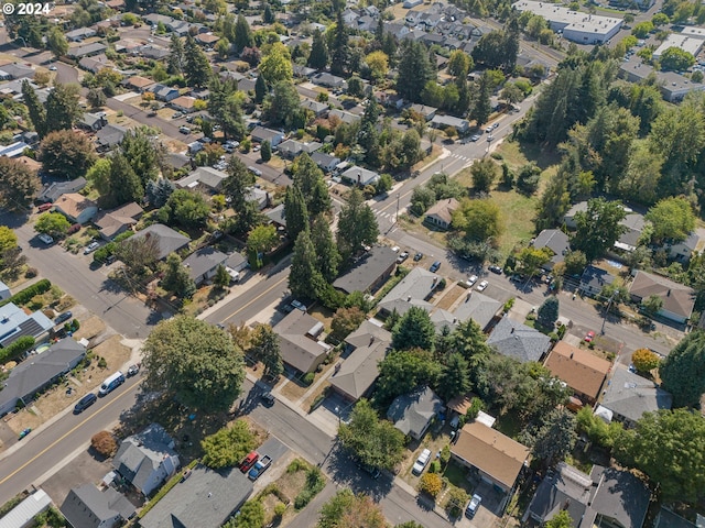 bird's eye view