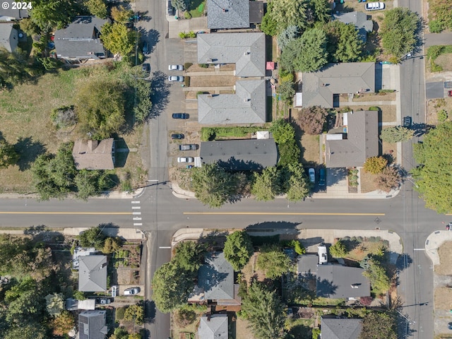 bird's eye view