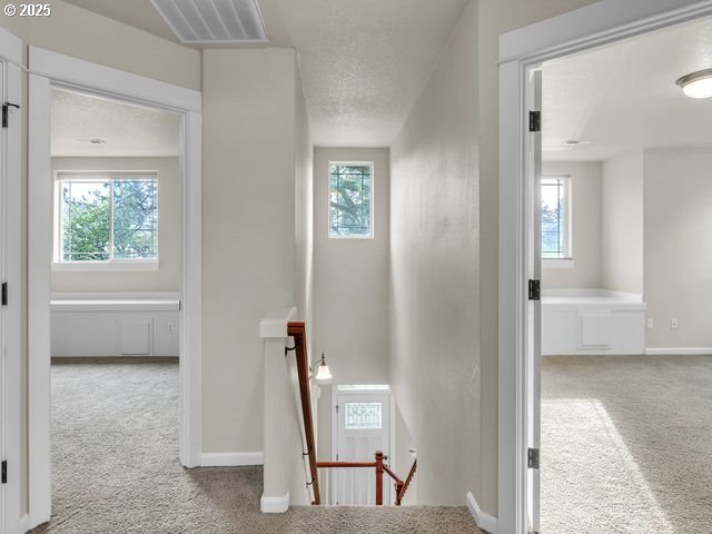 hall featuring a healthy amount of sunlight, light colored carpet, and a textured ceiling