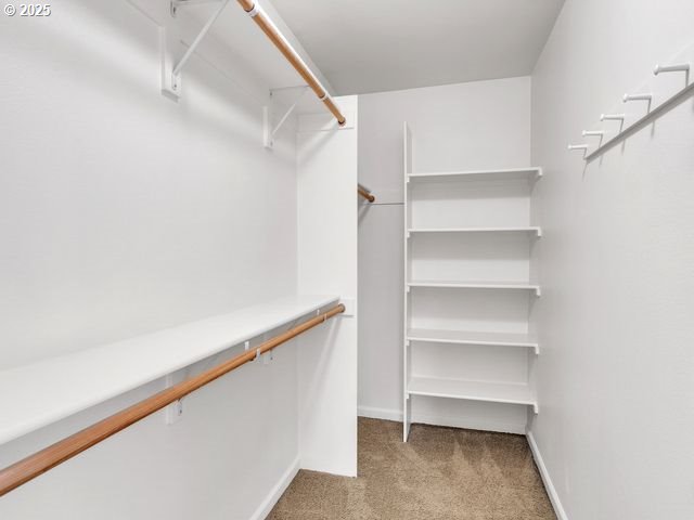 walk in closet with light carpet