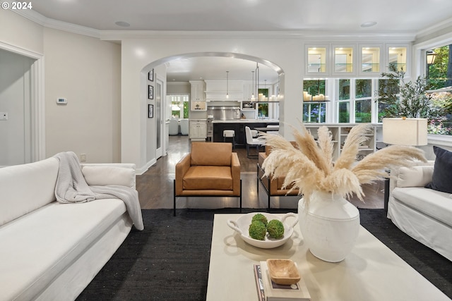 living room featuring dark hardwood / wood-style flooring, crown molding, and plenty of natural light