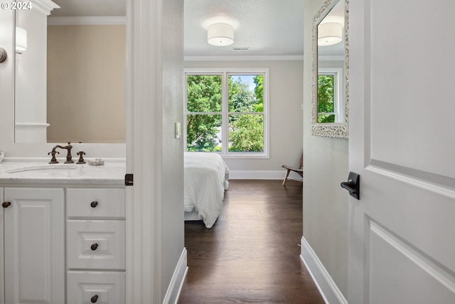 bathroom featuring vanity, a textured ceiling, crown molding, and hardwood / wood-style floors